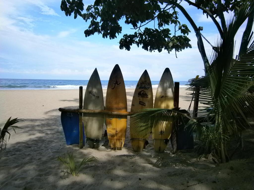 Sunrise Beach Hotel Puerto Viejo de Talamanca Exterior foto